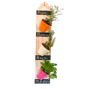 Jardines Verticales / Horizontales