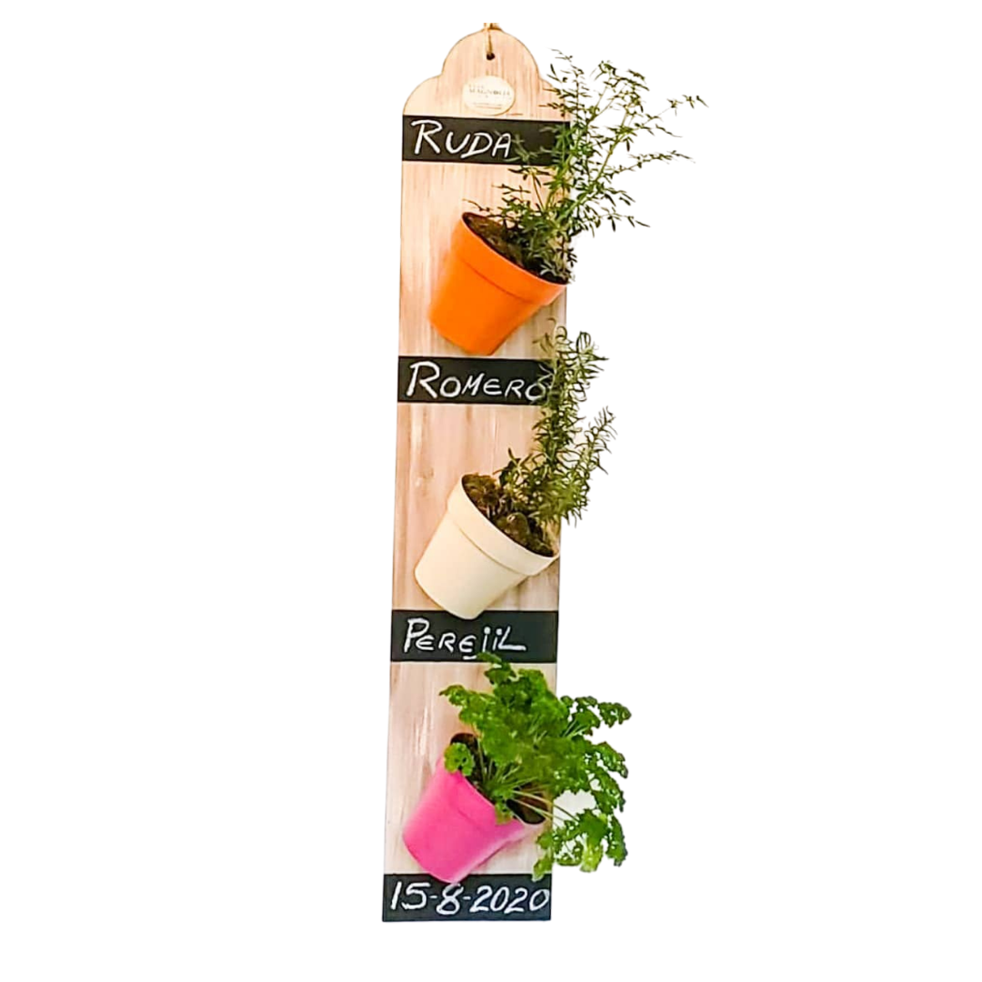 Jardín vertical con plantas culinarias - Casa Magnolia